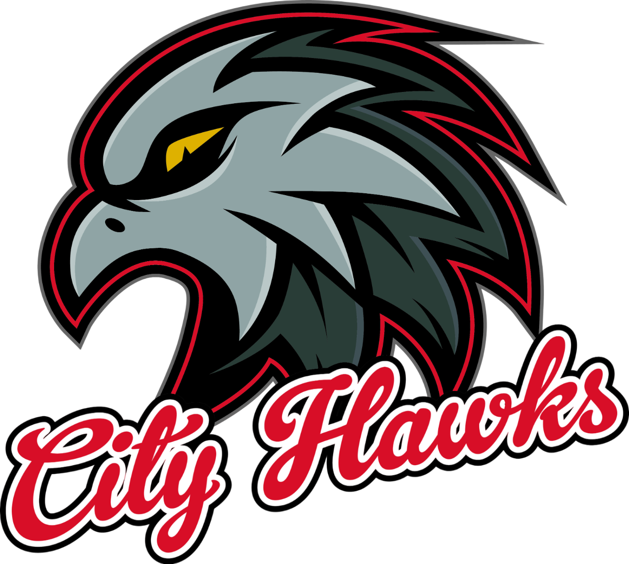 City Hawks